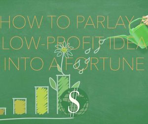 How to Parlay a Low-profit Idea into a Fortune